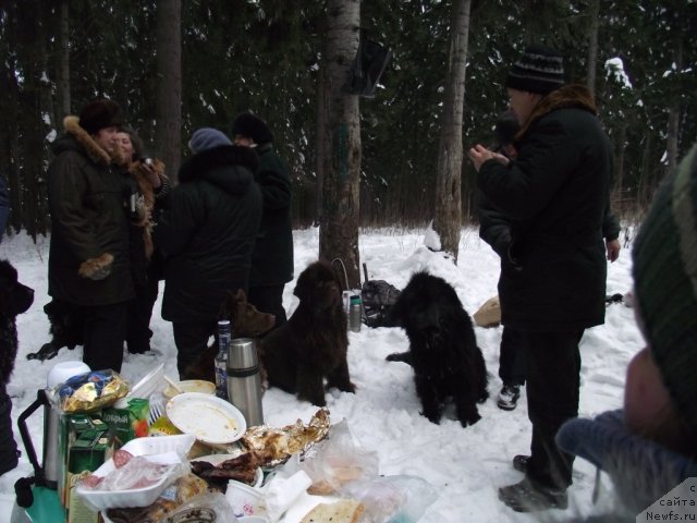 Фотография № 56075