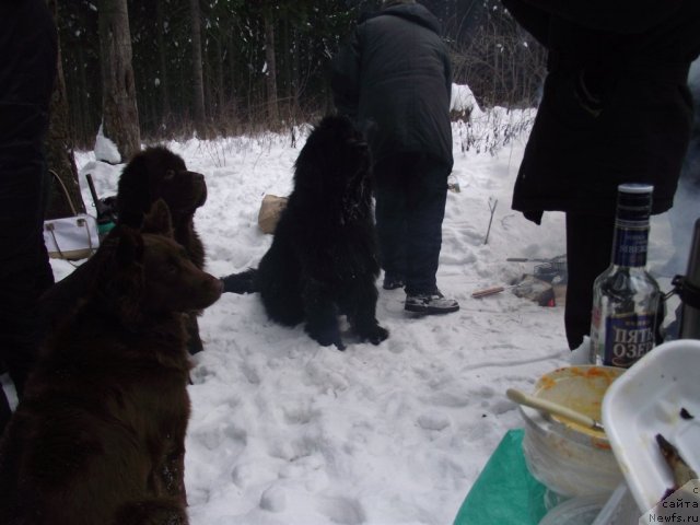 Фотография № 56076