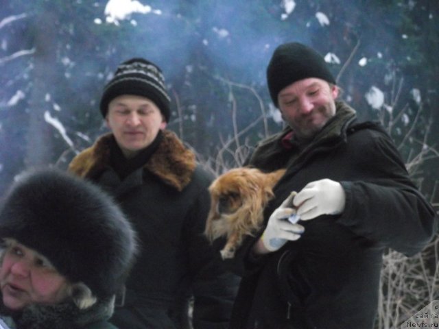 Фотография № 56080