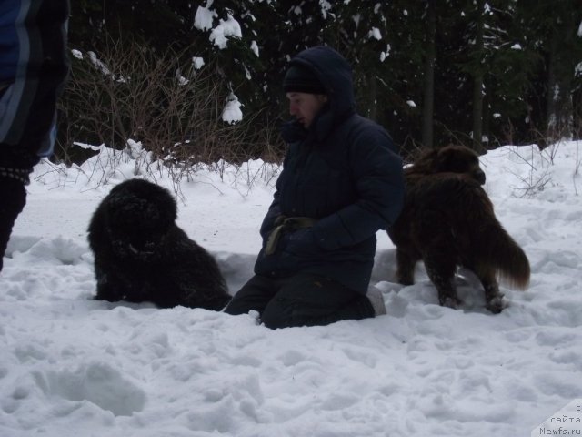 Фотография № 56083