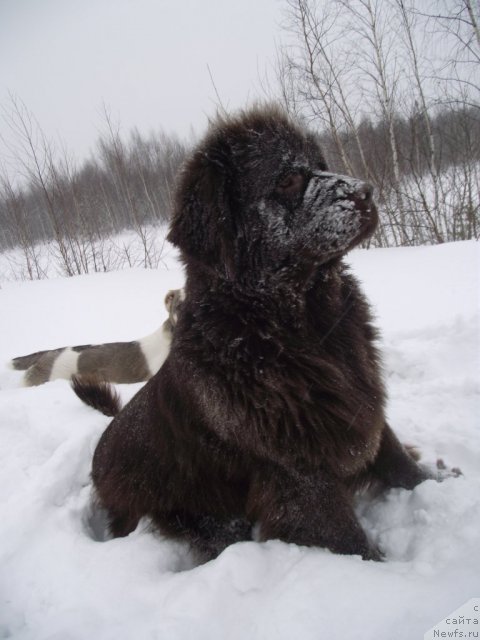 Фотография № 56085