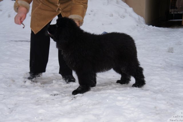 Фотография № 56113