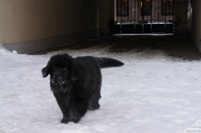 Фотография № 56114