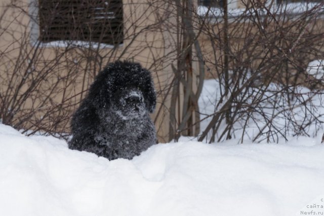 Фотография № 56117