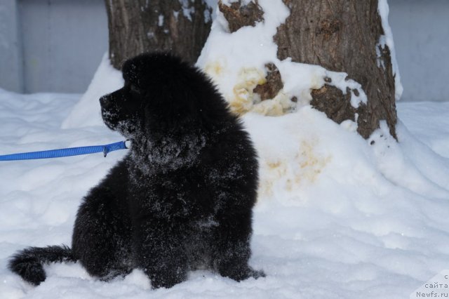 Фотография № 56119