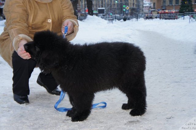 Фотография № 56122