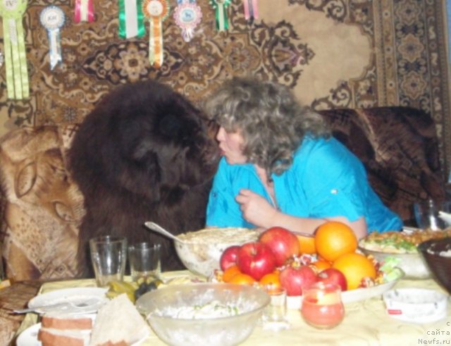 Фотография № 56127