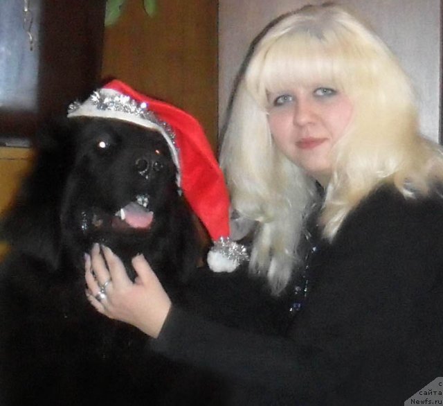 Фото: ньюфаундленд Чудная Красавица, Анна Портнякова