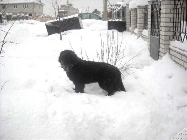 Фотография № 56143