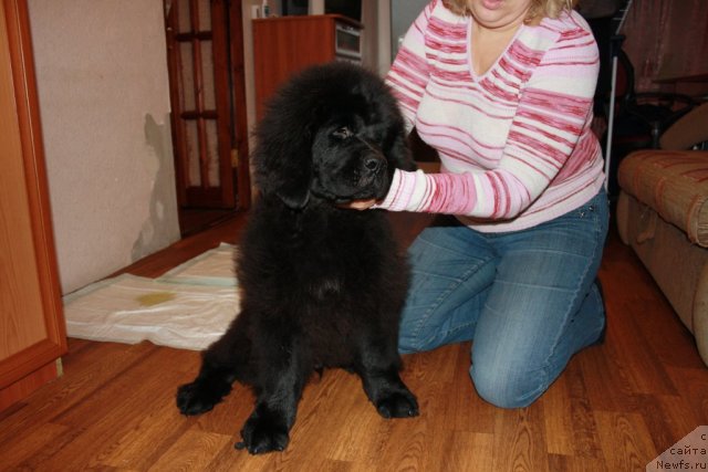 Фотография № 56145