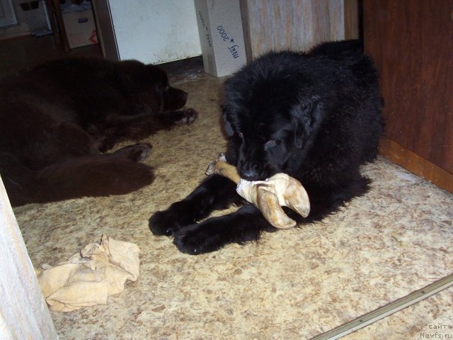 Фотография № 56149