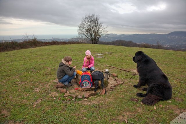 Фотография № 56172