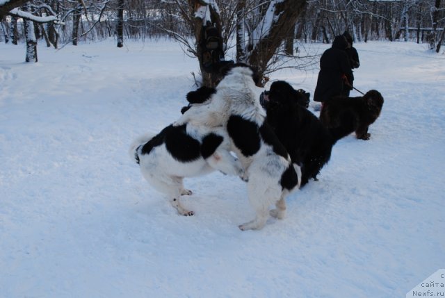 Фотография № 56193