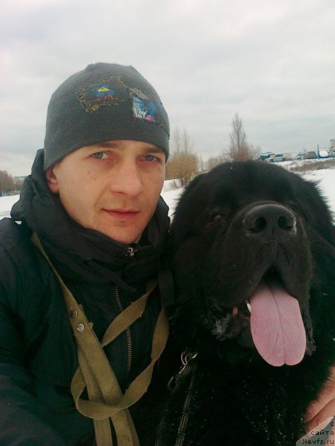 Фото: ньюфаундленд Акватория Келвин Куинджи