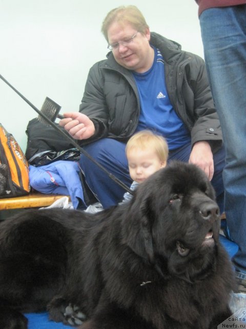 Фотография № 56206