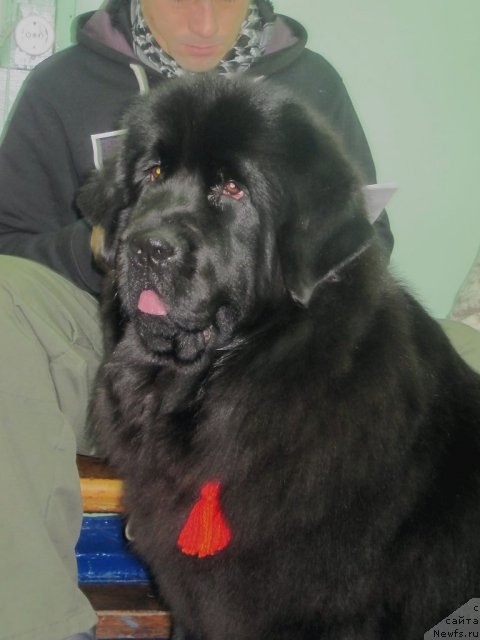 Фотография № 56207