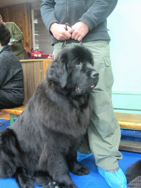 Фотография № 56208