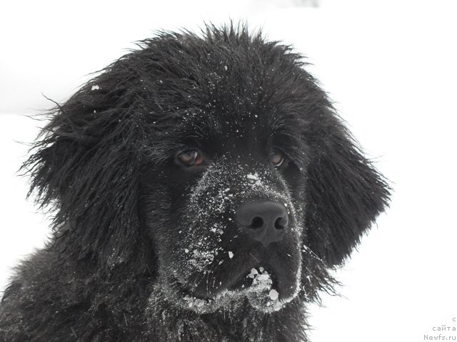 Фотография № 56241