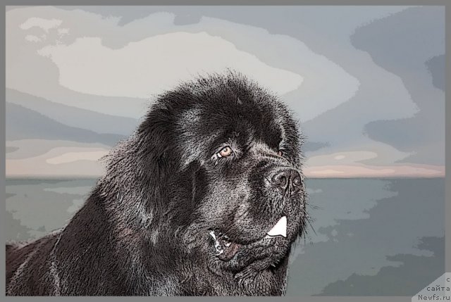 Фотография № 56244