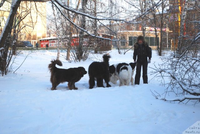 Фотография № 56245