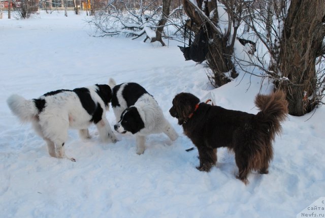 Фотография № 56246