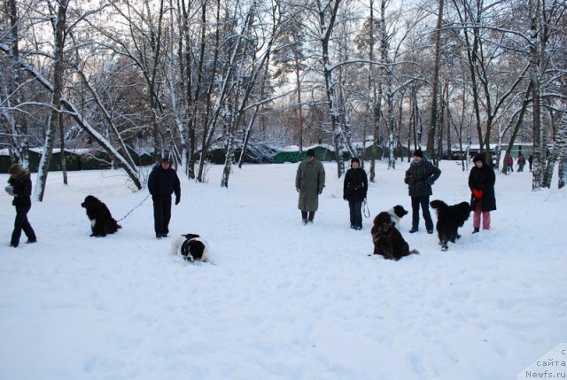 Фотография № 56248