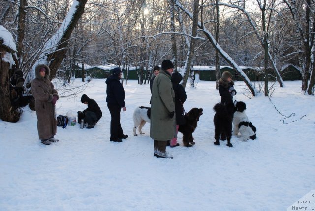 Фотография № 56250