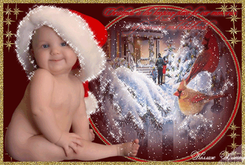 Фотография № 56264