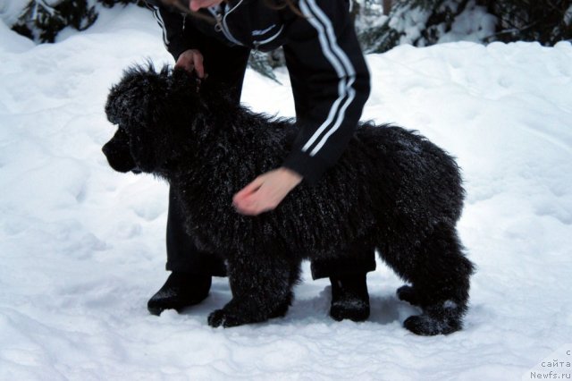 Фотография № 56274