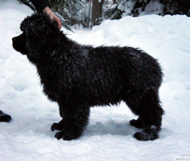 Фотография № 56277