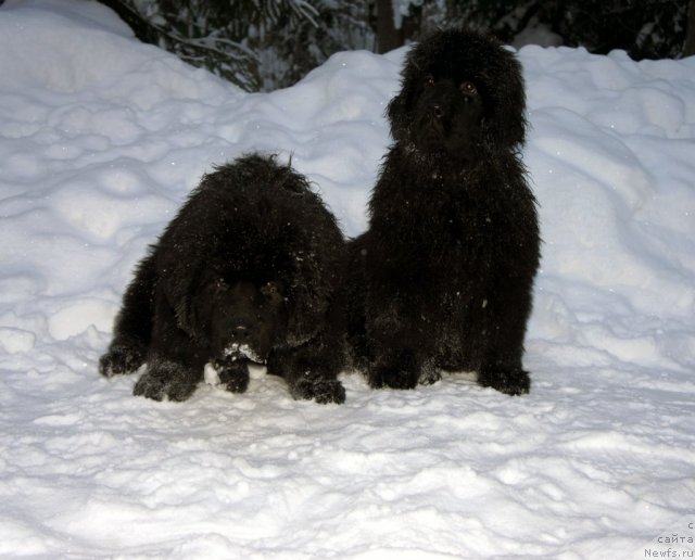 Фотография № 56282