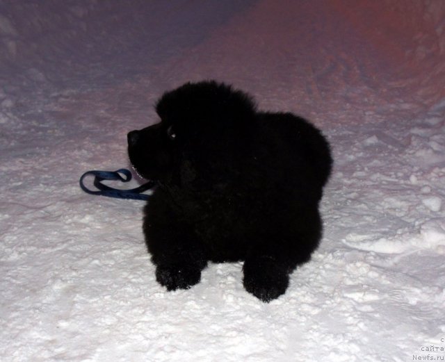 Фотография № 56284