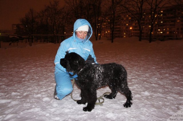 Фотография № 56298