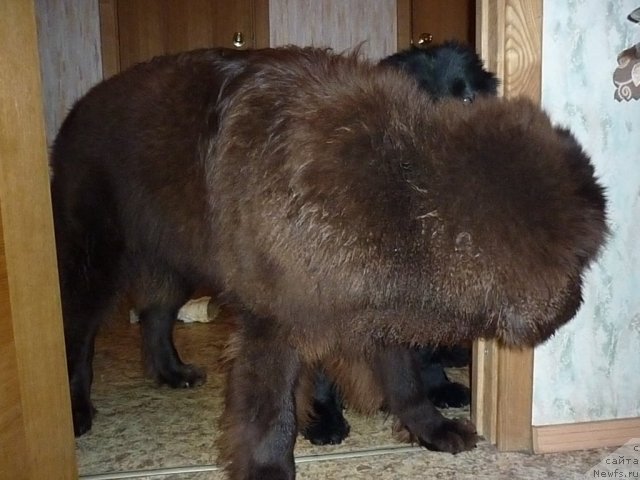 Фотография № 56354