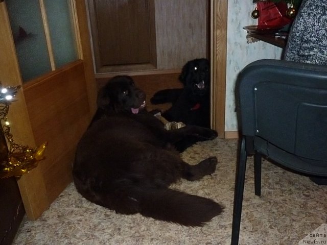 Фотография № 56359