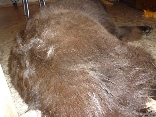 Фотография № 56383