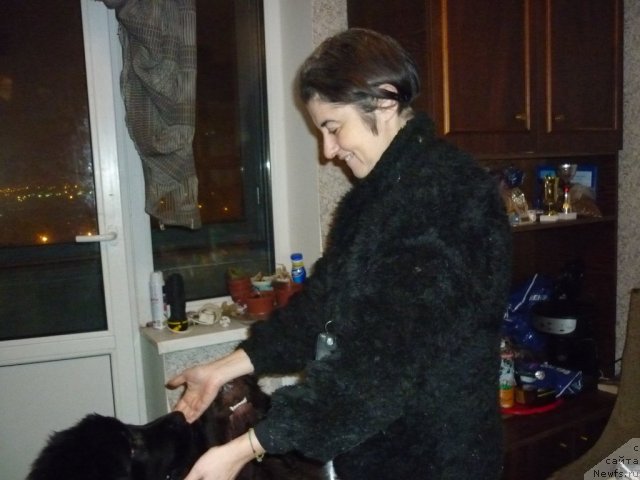 Фотография № 56393