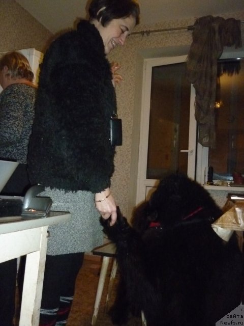 Фотография № 56394