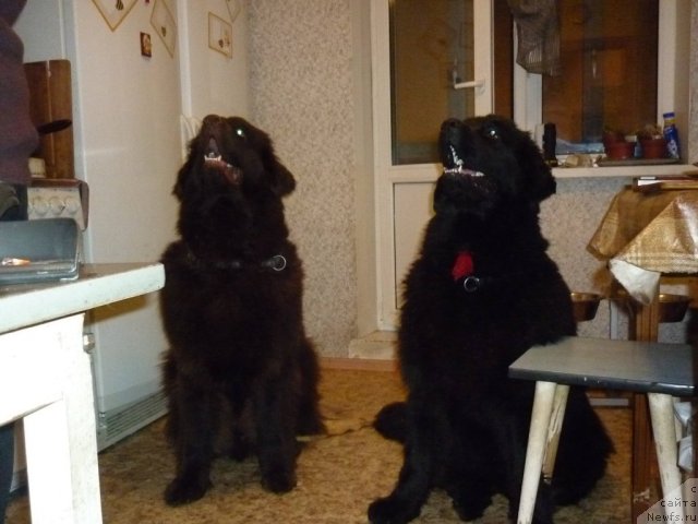 Фотография № 56404