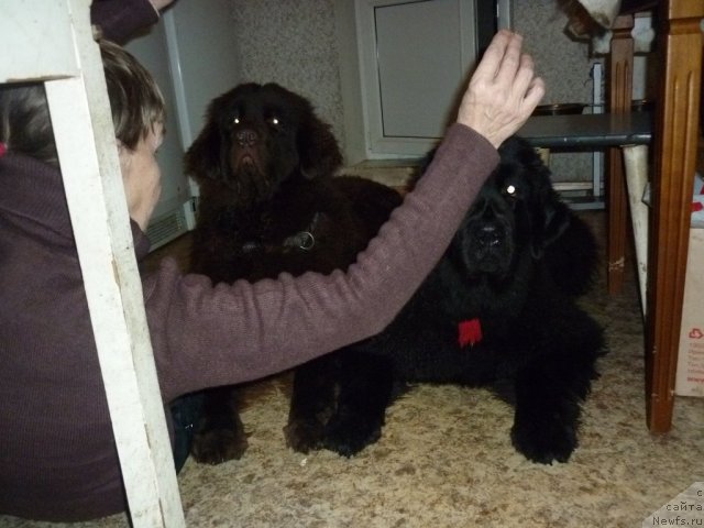 Фотография № 56405