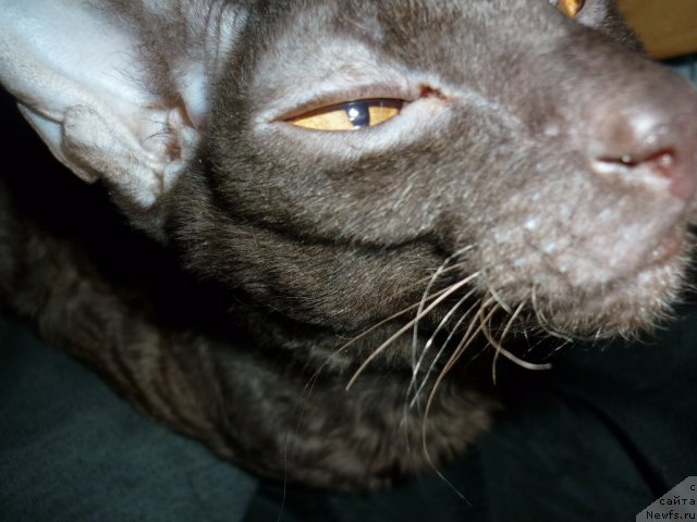 Фотография № 56418