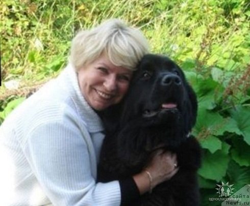 Фото: Ирина Григорьева, ньюфаундленд Сент Джонс Тендер Кисс оф Элли (Sent Djons Tender Kiss of Elly)