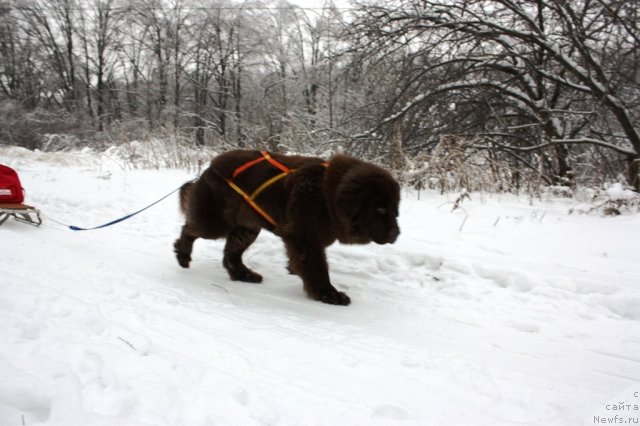 Фотография № 56496