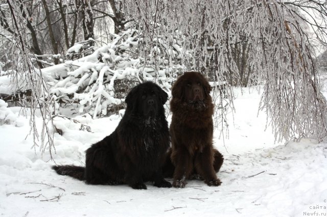 Фотография № 56497