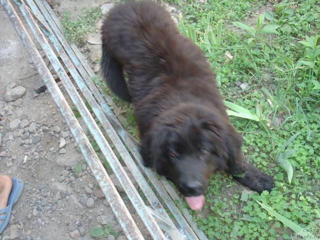 Фото: Дмитрий Крохмаль