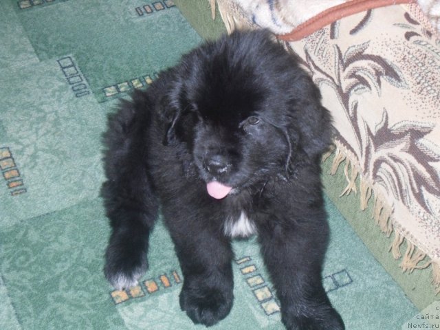 Фото: Марина Покладова