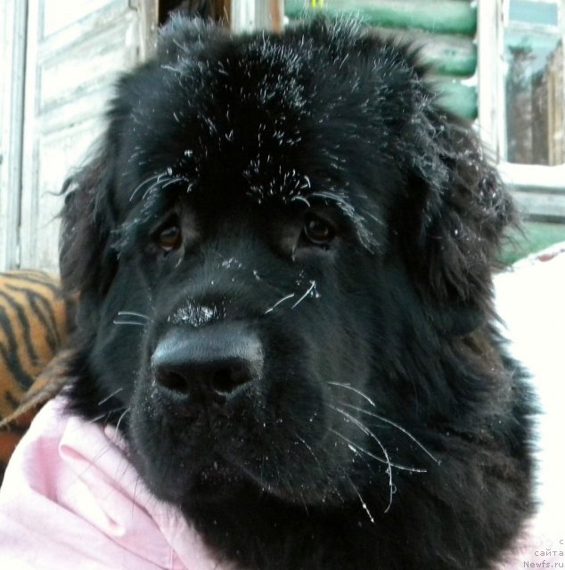 Фотография № 56564