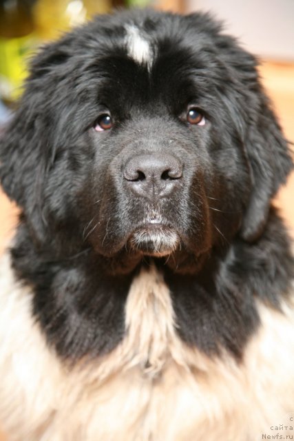 Фотография № 56695