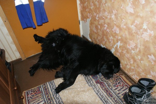 Фотография № 56770