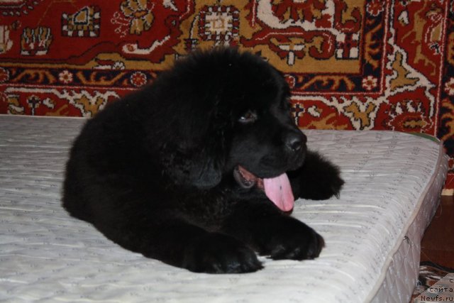 Фотография № 56804